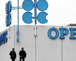 OPEC-in neft hasilatı yanvarda azalıb
