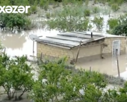 Aramsız yağan yağışlar rayonlarda evləri su altında qoydu - VİDEO