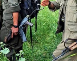 Türkiyədə PKK-nın iki üzvü öldürülüb, üçü həbs edilib