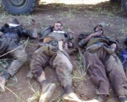 Türkiyə ordusundan xüsusi əməliyyat - 49 terrorçu öldürüldü...