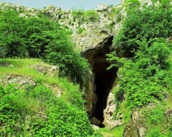 “Azərbaycanda Azıx mağarası və miqrasiya axınları” 