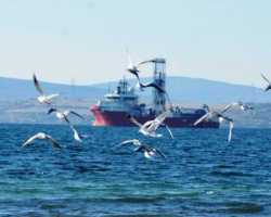 Türkiyə Mersin sahillərində neft-qaz axtarışına başlayıb