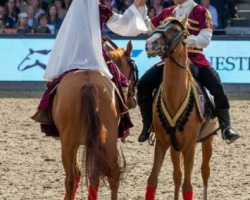 Qarabağ atları London Beynəlxalq Atçılıq Şousunda çıxış edəcək