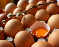Yumurta qabığından yeni nəsil sürətli yaddaş qurğusu yaradılıb