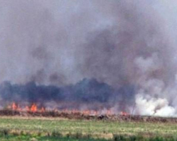 Ermənilər Ağdamda 280 hektar ərazini yandırıb - Foto