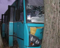 Azərbaycanda avtobus ağaca çırpıldı: 2 ölü, 13 yaralı