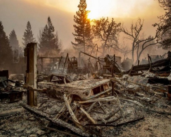 Kaliforniyada meşə yanğınları: yüzlərlə ev kül olub