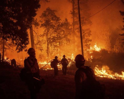 Kaliforniyada meşə yanğınları nəticəsində ölənlərin sayı 44 nəfərə çatıb