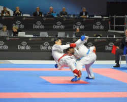 Karateçilərimiz dünya çempionatını üç medalla başa vurublar