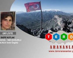 Türkiyədə axtarışda olan terrorçu zərərsizləşdirilib