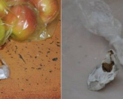 Bakı İstintaq təcridxanasına soğanın içərisində narkotik keçirilməsinin qarşısı alınıb
