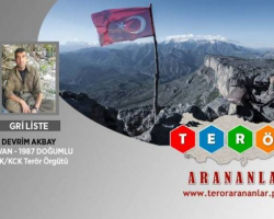 Türkiyədə daha bir təhlükəli PKK terrorçusu məhv edilib