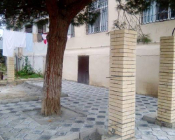 Bakıda insanlığa sığmayan hərəkət - Eldar şamı ağacının dibi betonlandı