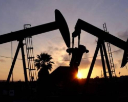 Donald Tramp: OPEC-in ABŞ-dan neft hasilatını azaltmaqla bağlı tələbi olmayıb
