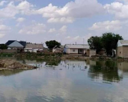 Türküstan vilayətində sel daşqınları nəticəsində 620-dən çox evə ziyan dəyib